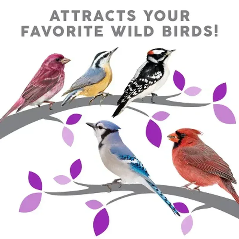 Harvest Seed & Supply Birder'S Medley Wild Bird Food, Premium Mix of Bird Seed, (20 Lbs.) - Image 7
