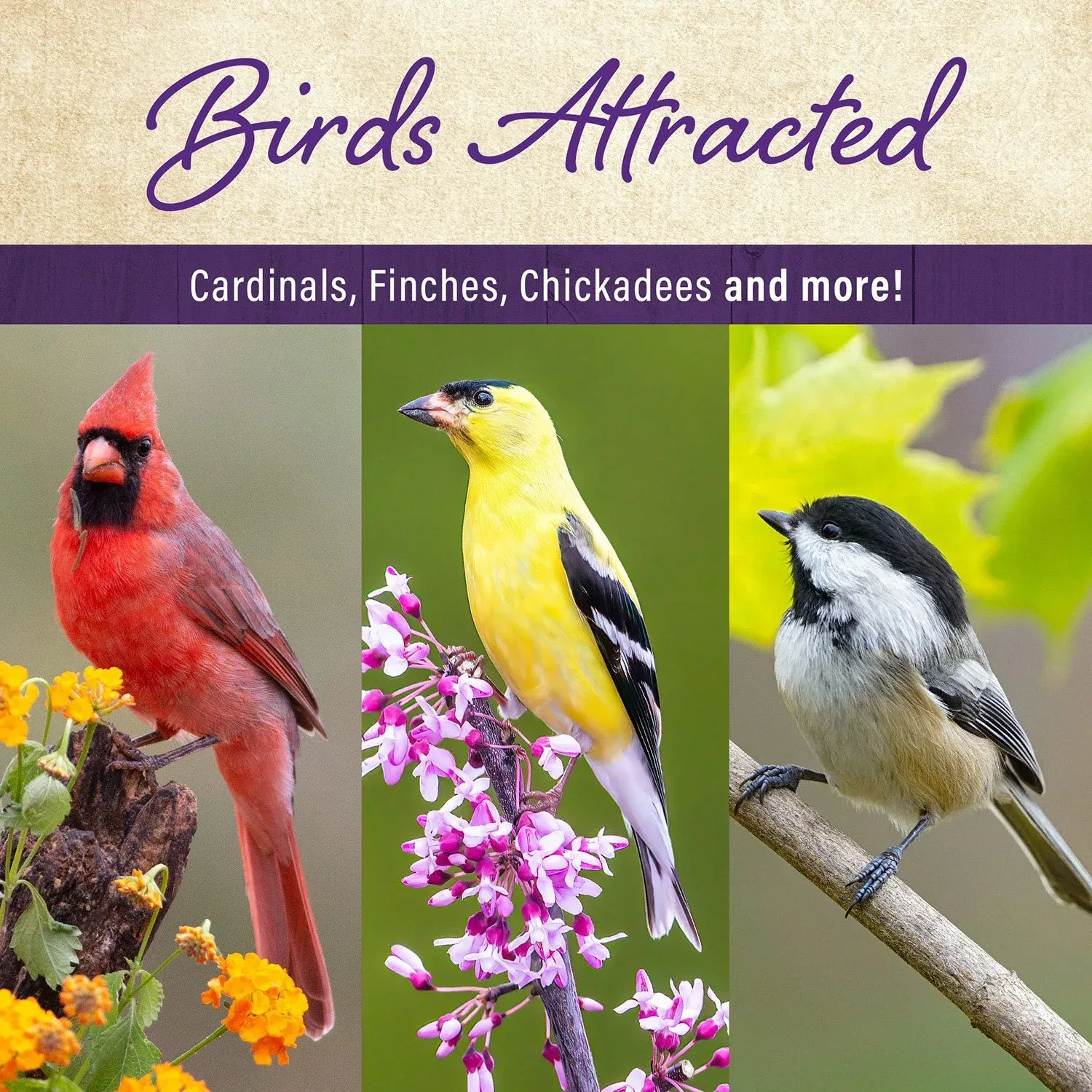 Member'S Mark Supreme Blend Wild Bird Food (40 Lbs.) - Image 5